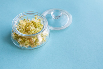yellow flowers of fragrant Linden macro on a blue background in a glass jar. Healing plant. Copy space