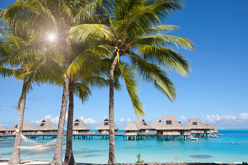 Fototapeta na wymiar View of the sandy beach with palm trees and hammok, Bora Bora, French Polynesia