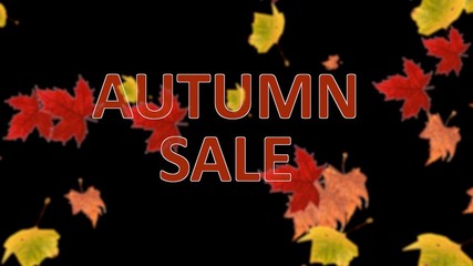 Autumn sale banner against blurred background. Seasonal promotion banner