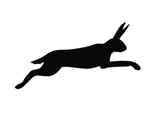 Vector black jumping hare silhouette isolated on white background © Sweta