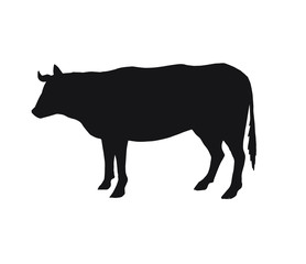 Vector black cow silhouette isolated on white background