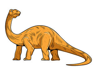 Brontosaurus the highest dino dinosaur © Oleksii