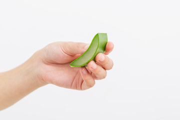 Female hand holding aloe vera leaf on white background