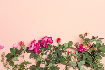 Border of garden roses on a pink background.