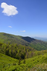 Obraz premium Beautiful green slopes of the Carpathian Mountains. Blue sky. Borzhava. Ukrainian landscapes.