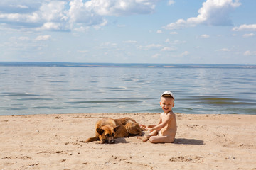 Little boy playing with dog on the beach