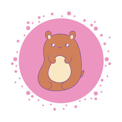 cute bear baby animal kawaii style