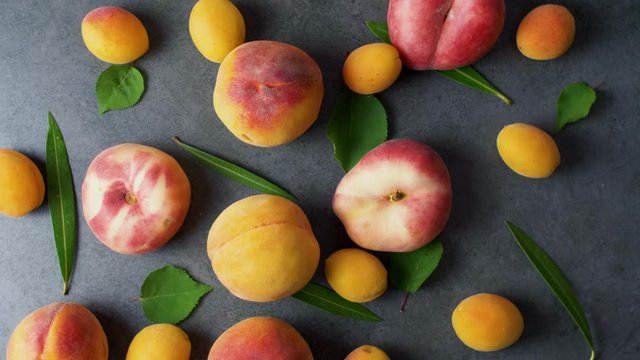 Nice yummy fresh apricots and peaches with green tree leaves on dark texture surface. Top view. Summer fruits. 4k.
