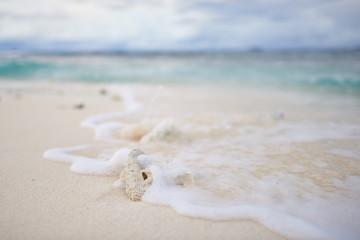 Fototapeta na wymiar Coral and beach