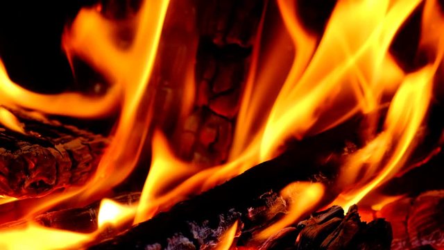 Fire with burning wood logs on a campfire close up video in 4K. Slow motion clip at half speed with zoom in effect.