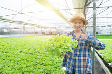 Fresh organic green oak in hand of out of focus asian farmer woman with trump up in greenhouse...