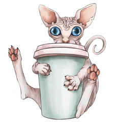 The bald pink sphinx cat is drinking coffee. Good morning .CG illustration. Isolated on white background.