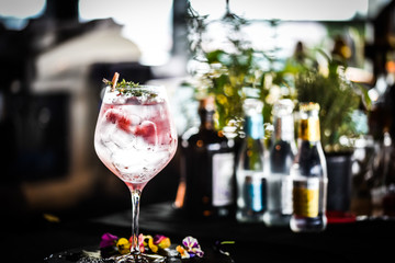 tonic gin with  fresh raspberry and rosemarie plant - obrazy, fototapety, plakaty