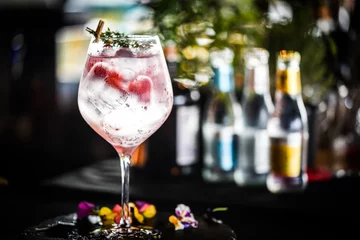 Foto op Plexiglas tonic gin with  fresh raspberry and rosemarie plant © Anna_Anny