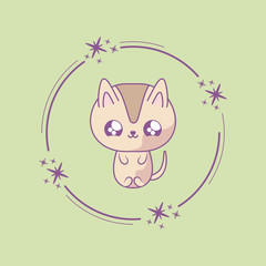 cute cat baby animal kawaii style