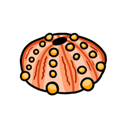 Stylized Sea Urchin Shell