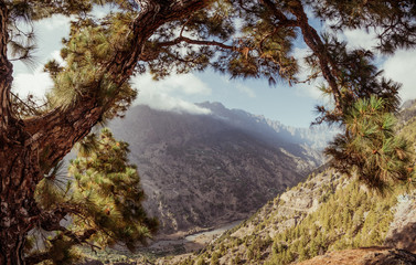 View into the Caldera Taburiente in La Palma (Canary Islands) 