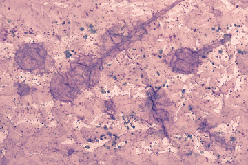 Crumpled paper texture floor background.