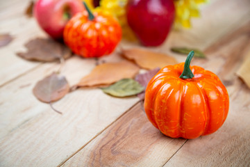 Autumn Pumpkin Thanksgiving Background. Closeup of pumpkin
