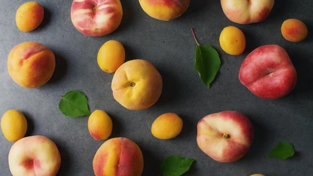 Nice yummy fresh apricots and peaches with green tree leaves on dark texture surface. Top view. Summer fruits. 4k.