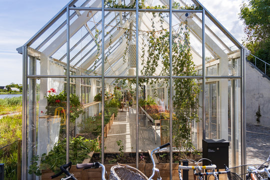 Inside the greenhouses at restaurant Noma