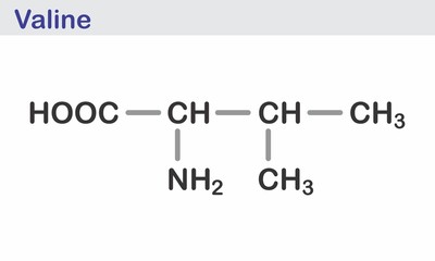The Valine amino acid molecule. Skeletal formula.