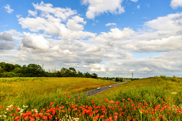 Fototapeta na wymiar uk motorway road with poppies in foreground view at daylight