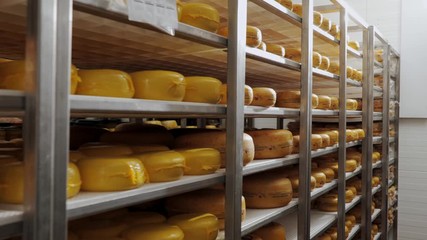 Cheese in a storage room