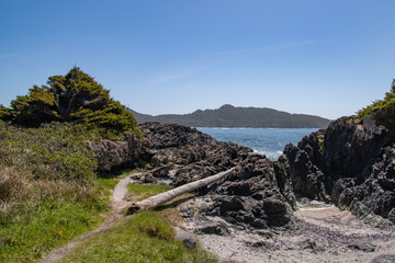 coast and the sea Vancouver Island