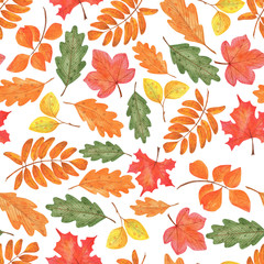 Obraz premium seamless pattern of autumn leaves 2