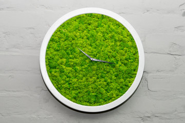 Wall watch with green moss on gray brick background. Eco concept, interior design detail