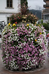 Fototapeta na wymiar Blumenarrangement