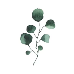 Gardinen Aquarellgrün Blumenblattpflanze Waldkraut Frühlingsflora isoliert © madiwaso
