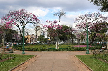 Naklejka premium Paisagem urbana - Praça da Liberdade / Belo Horizonte MG