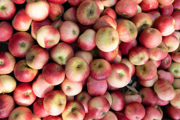 Red apples background pile of fresh apple fruits