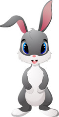 Cartoon funny rabbit on white background 