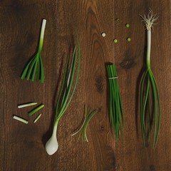 3D rendered Green onion composition