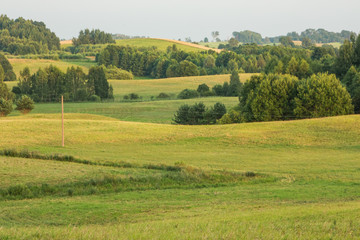 Fototapeta na wymiar Nature landscape of wild fields in Lithuania during summer time on sunny weather 