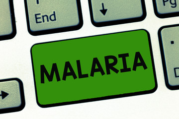 Word writing text Malaria. Business concept for Life threatening mosquito borne blood disease Periods of fever.
