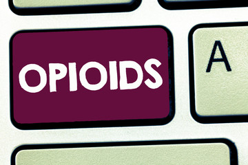 Text sign showing Opioids. Conceptual photo Class of drugs that include the illegal heroin Opium poppy plant.