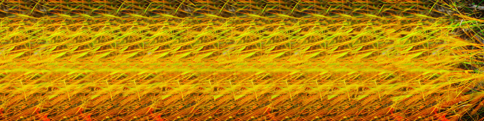 yellow flower background