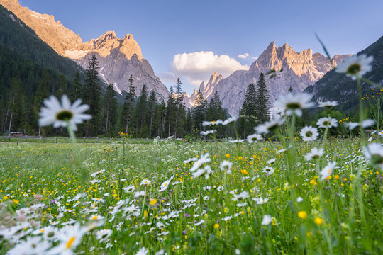 Wandern im Fischleintal in S&uuml;dtirol mit Blick auf die Berge