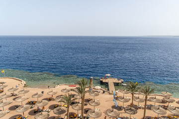 Sharm El Sheikh, Egypt - May, 2019: Beautiful beach with palm trees at sunset