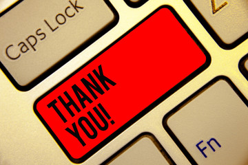 Conceptual hand writing showing Thank You. Business photo text replaying on something good or...