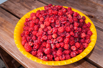 Lots of juicy raspberries in a bowl close-up