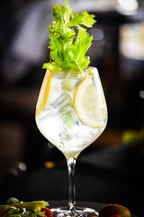 gin tonic with fresh celery & lemon