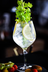gin tonic with fresh celery & lemon