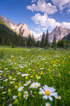 Wandern im Fischleintal in S&uuml;dtirol mit Blick auf die Berge