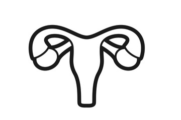uterus icon vector