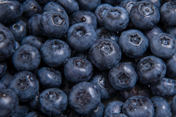  Clean freshly picked blueberries - close up studio shot. ( Ingredients:  Antioxidants , Vitamin C, Antioxidant)